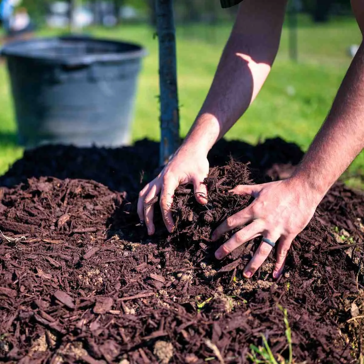 how to make mulch glue